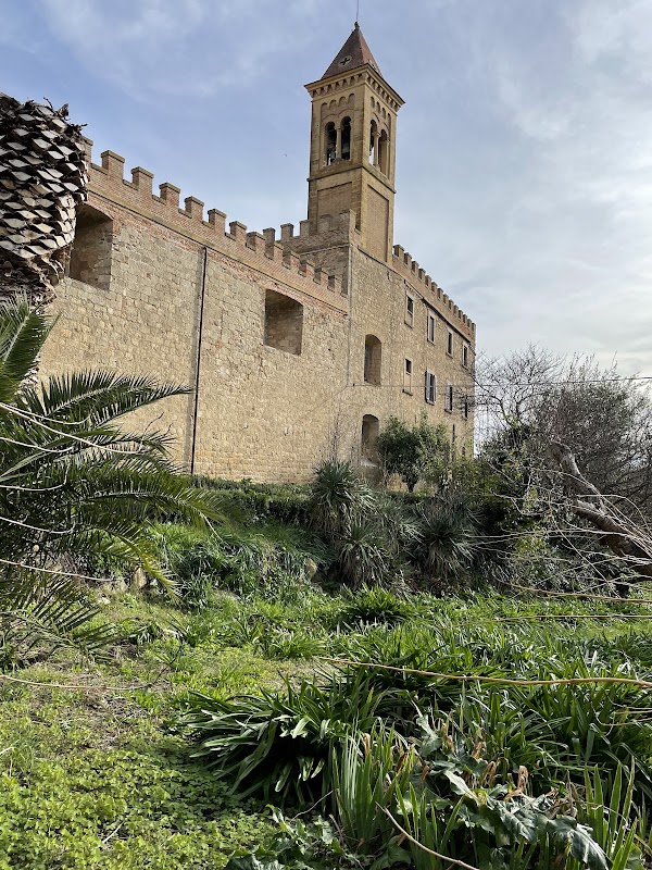 Bolgheri 2