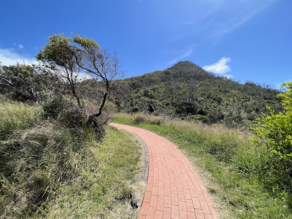 Tomaree Head Summit walk 3