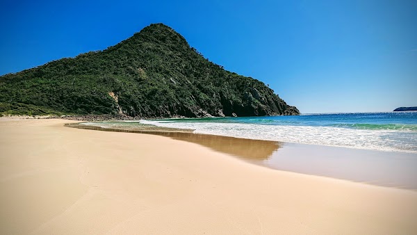 Tomaree Head Summit walk 2