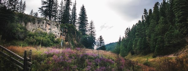 Lincoln National Forest 1