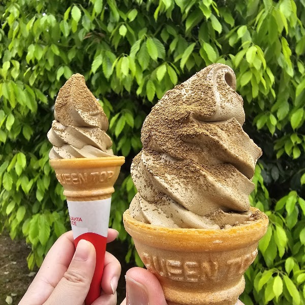 Masuda Chaho 5