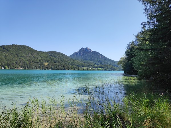Fuschlsee 5