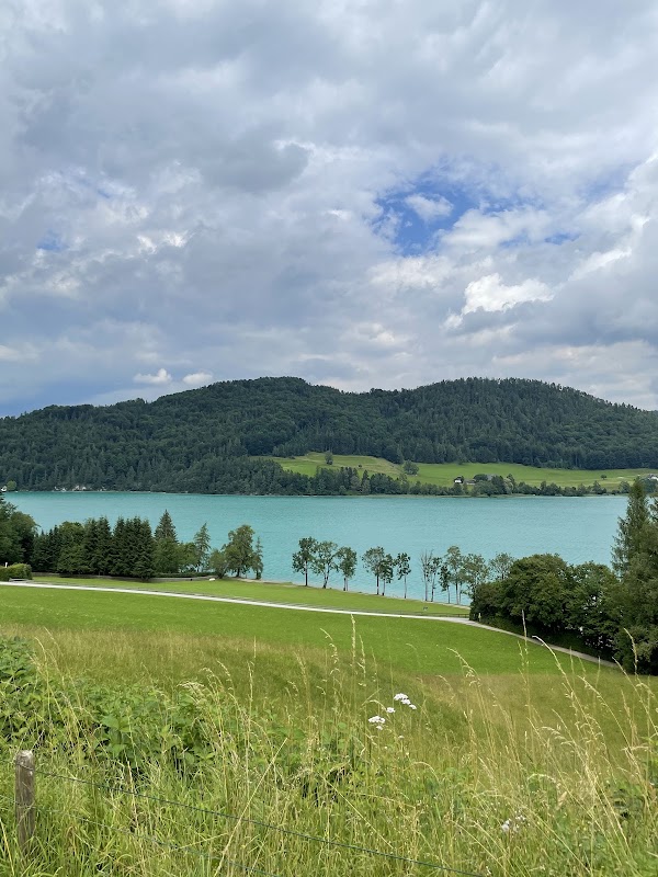 Fuschlsee 2