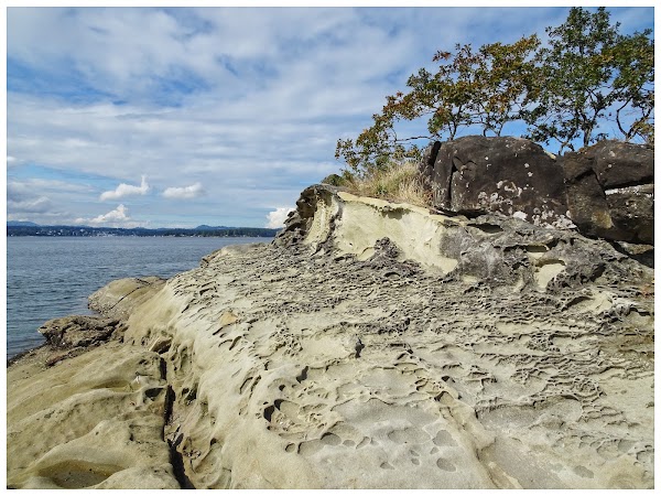 Jack Point and Biggs Park 1