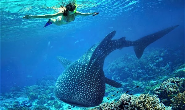 Ningaloo Coast 5