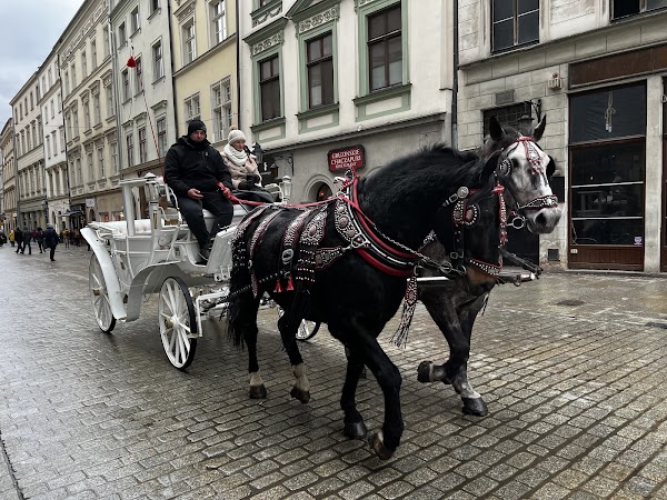 Grodzka 3
