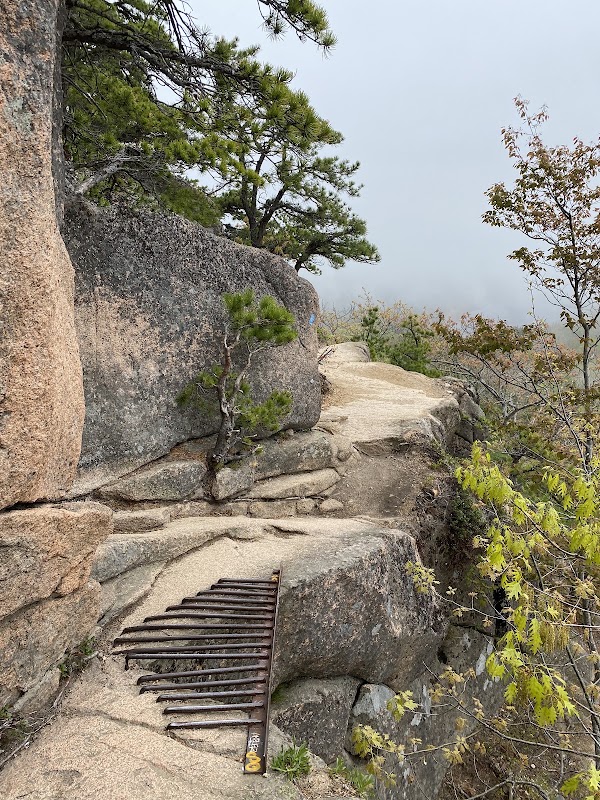 Beehive Trail 4