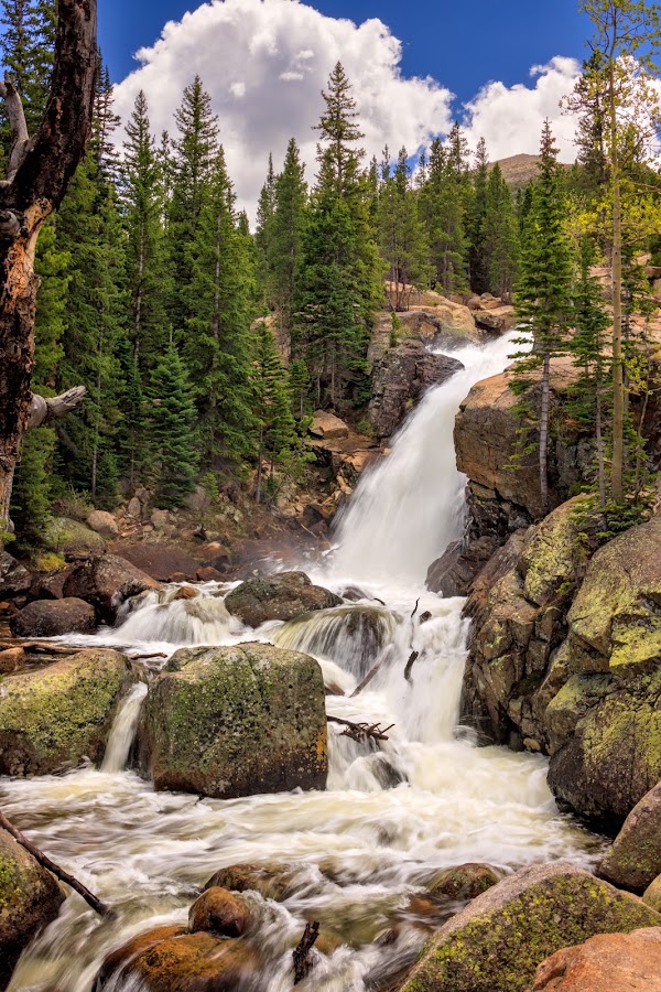 Alberta Falls