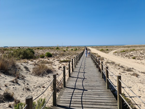 Armona Island 4