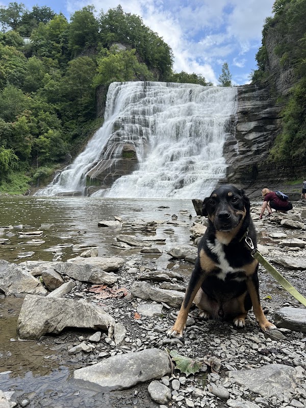Ithaca Falls 5