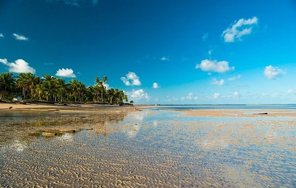 Praia Tatuamunha