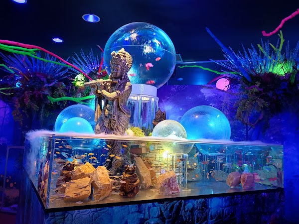 Planet Aqua Port 4