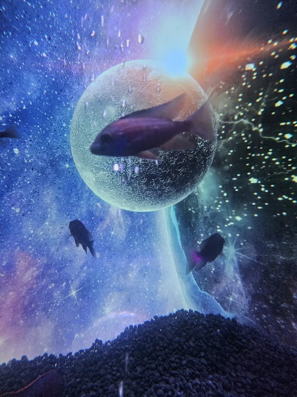 Planet Aqua Port 3