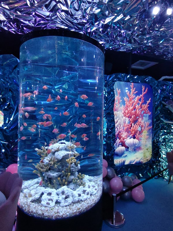 Planet Aqua Port 2