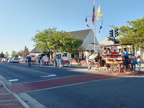 Cape May 2