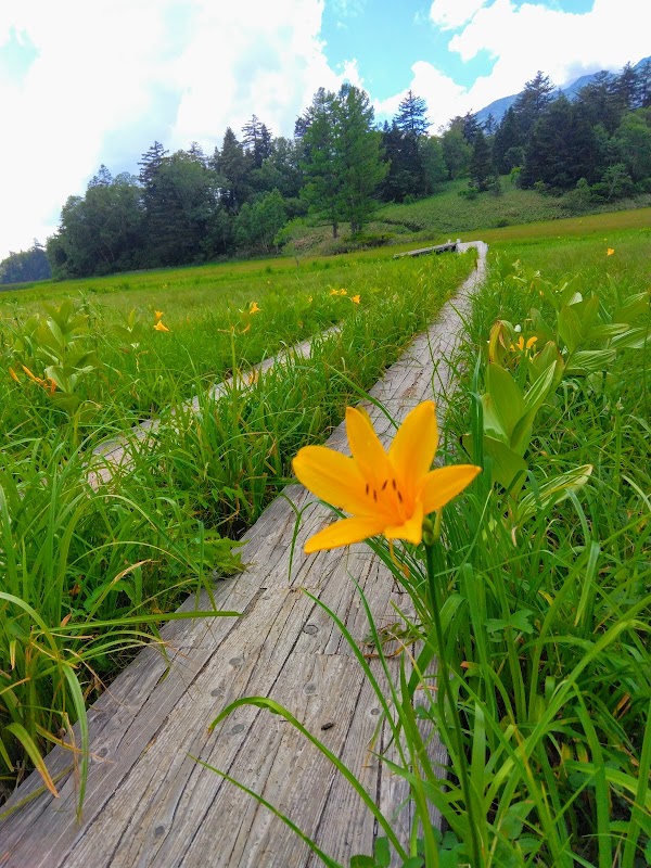 Oze National Park 3