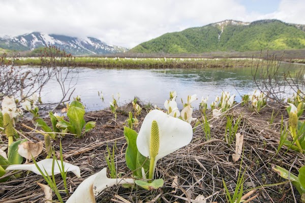 Oze National Park 2
