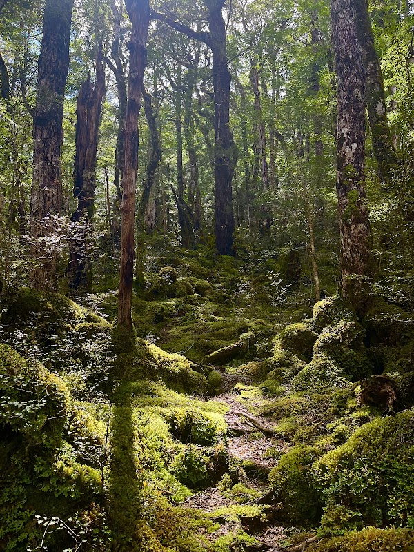 Klondyke hikes