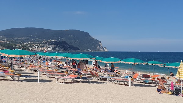 Le Marche  18