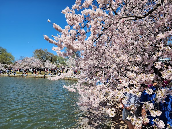 Washington Monument Grounds 2
