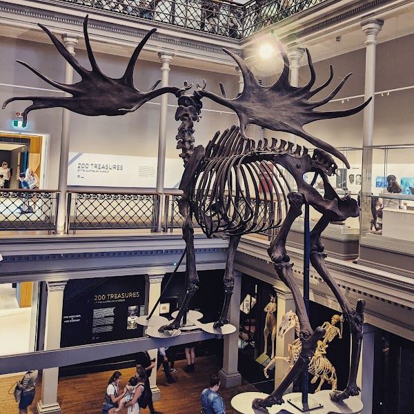 Australian Museum 5