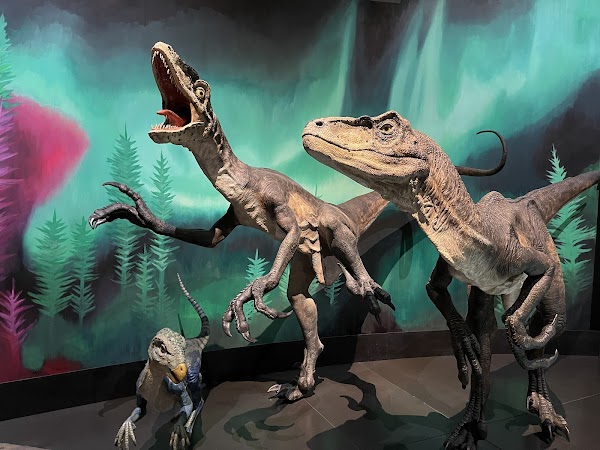 Australian Museum 4