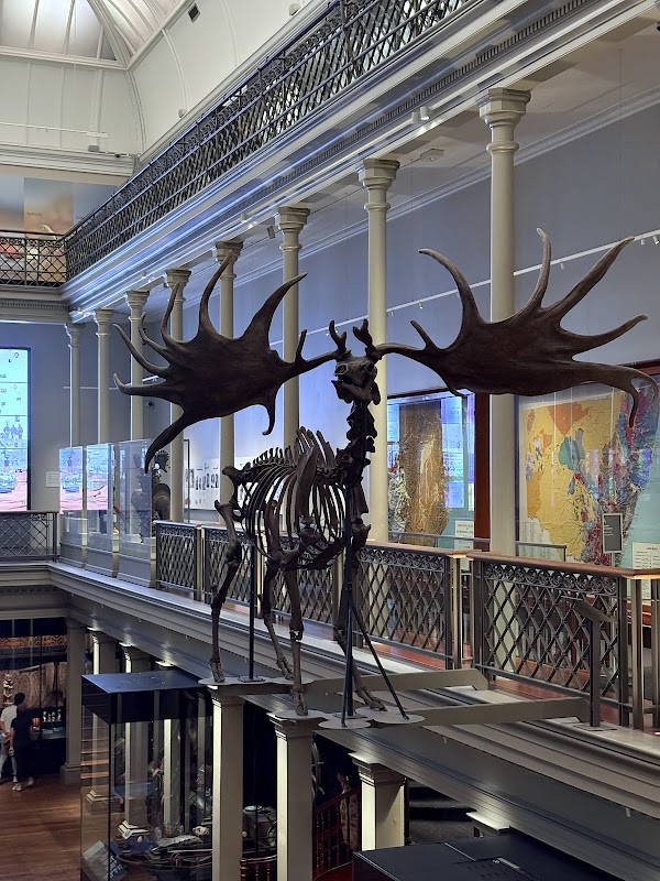 Australian Museum 3
