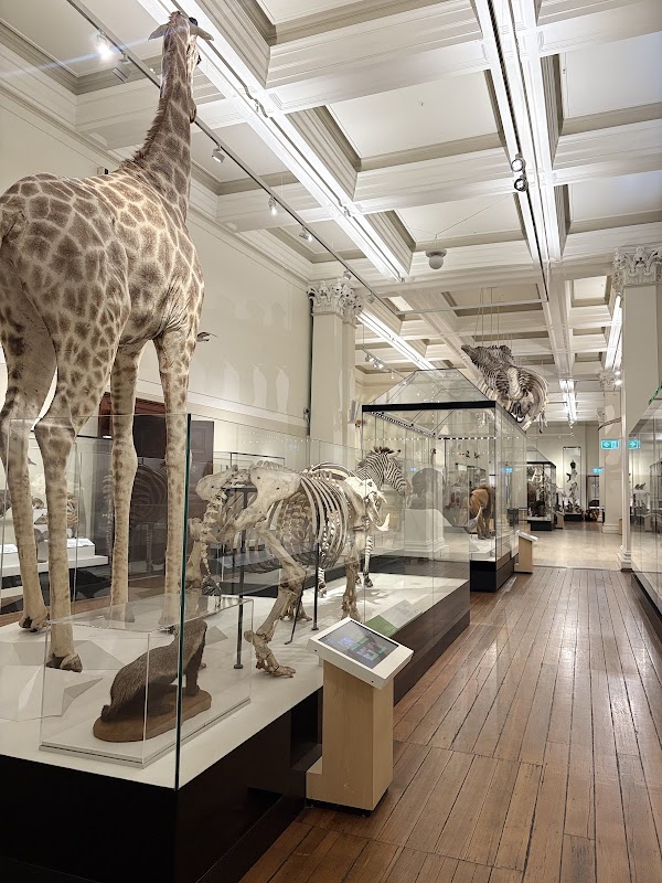 Australian Museum 2