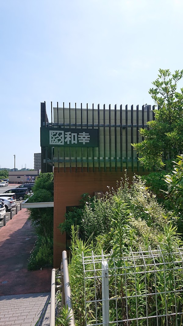 Japan 93