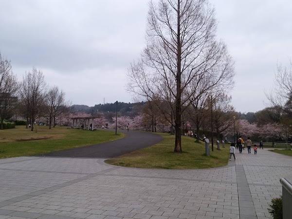 Inagi 2