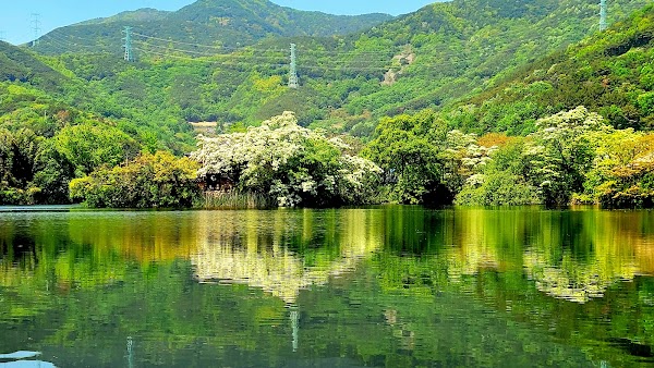 Wiyangji