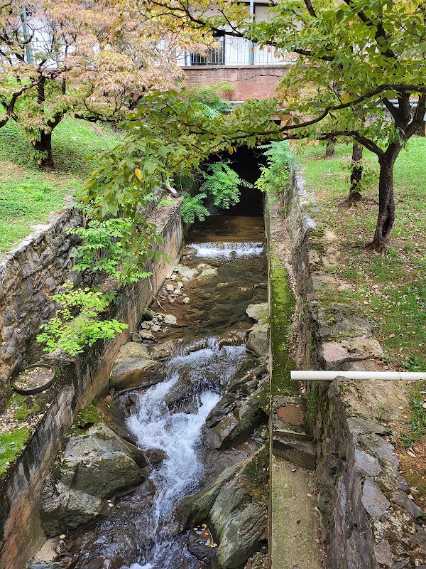 Staunton