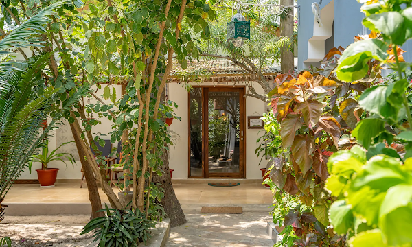 Michamvi Sunset Bay Resort