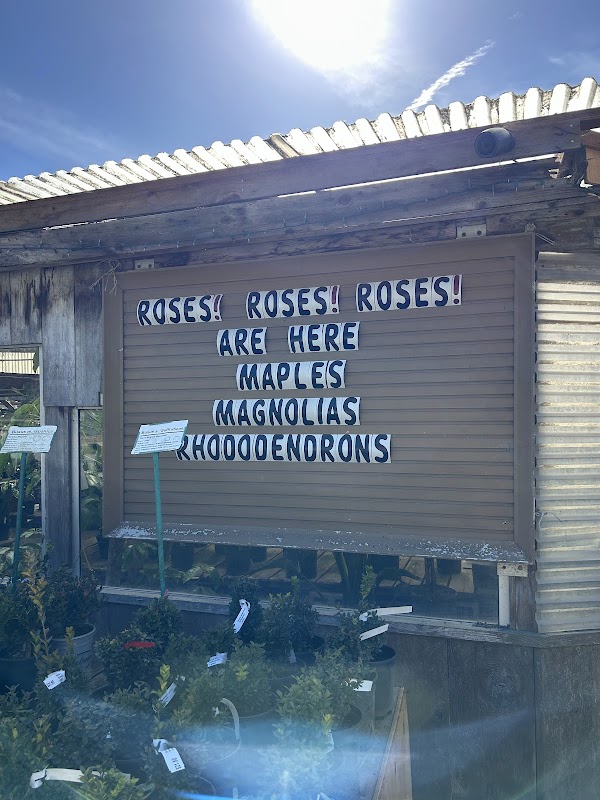 Half Moon Bay - Nursery