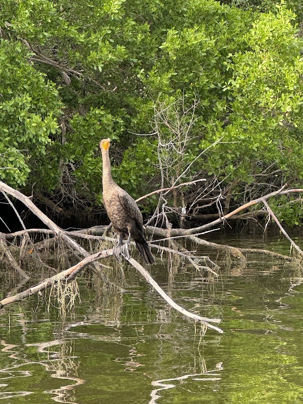 Jim Neville Marine Preserve 4