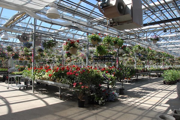 Bradford Greenhouses Garden Gallery 2