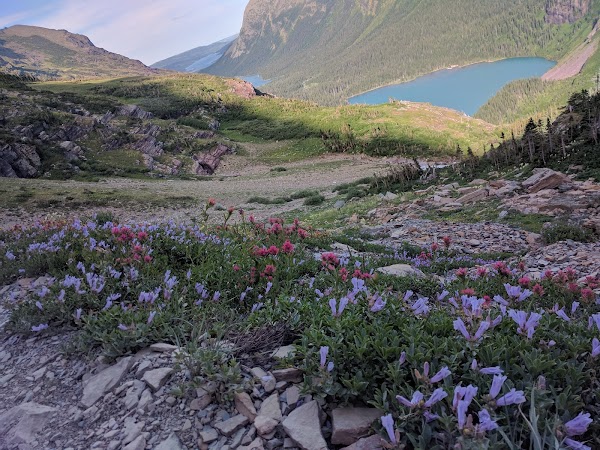 Grinnell Glacier Trail 2