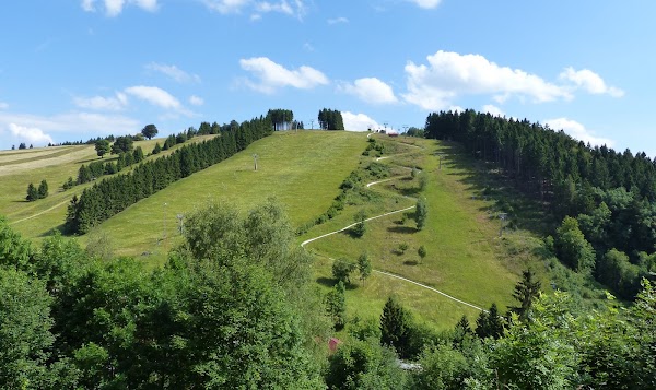 Sommerrodelbahn St. Andreasberg