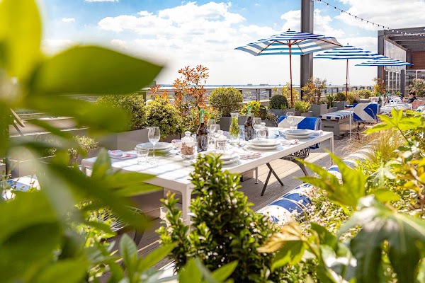Skylark Roof Garden 4