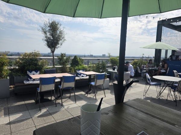 Skylark Roof Garden 3