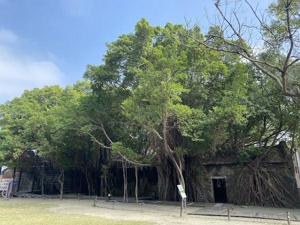 Anping Tree House 5