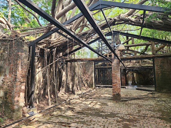 Anping Tree House 4