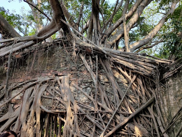 Anping Tree House 3