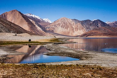 Pangong Tso