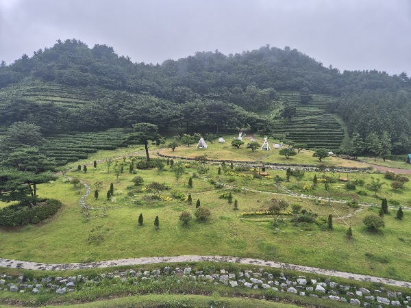 Boseong Korean Tea Museum 5