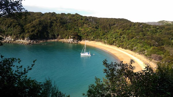 Bark Bay