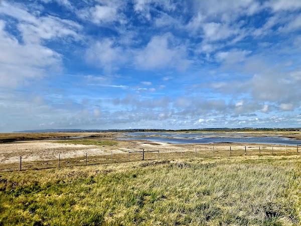 Rye Harbour Nature Reserve 5