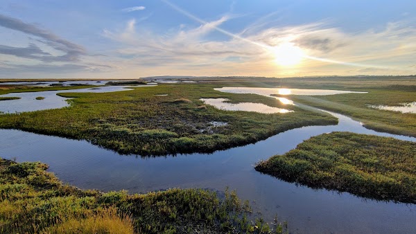 Rye Harbour Nature Reserve 4