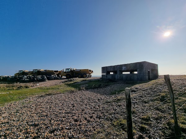 Rye Harbour Nature Reserve 3