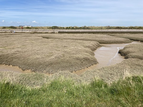 Rye Harbour Nature Reserve 2